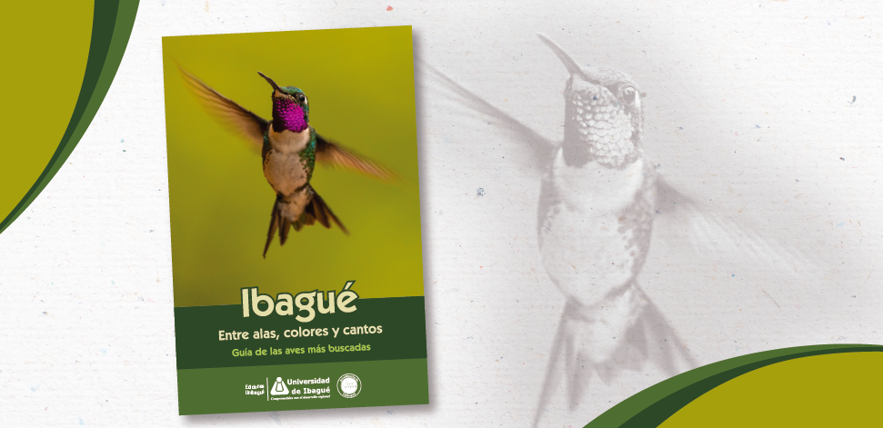 Lanzamiento del libro: Ibagué, entre alas, colores y cantos